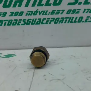 Foto de Sensor de temperatura Peugeot Satelis 125 referencia 253-18-16601 foto 3