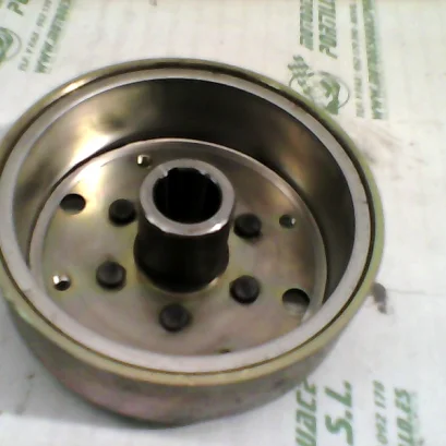Foto de Plato magnetico Yamaha Cygnus x 125 referencia 425-21-32118