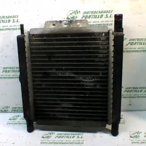 Foto de Radiador Peugeot Satelis 125 referencia 240-19-36136 foto 6