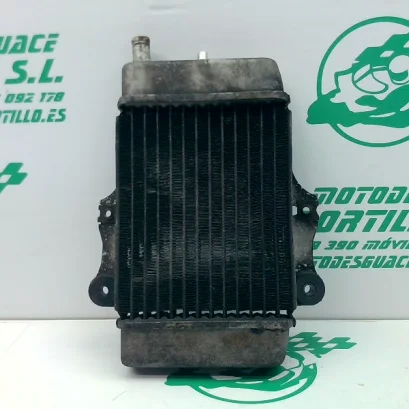 Foto de Radiador Honda ARROBA 125 referencia 372-21-38134