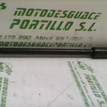 Foto de Eje de rueda delantera Daelim Besbi 125 referencia 167-17-12453