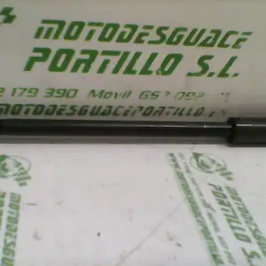 Foto de Eje de rueda delantera Daelim Besbi 125 referencia 167-17-12453