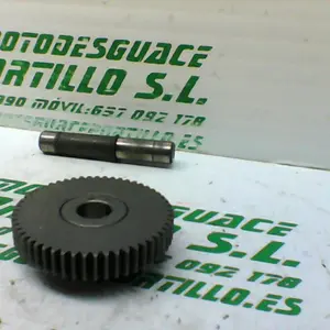 Foto de Piñón del motor de arranque Yamaha XMAX 250 referencia 213-19-37386 foto 5