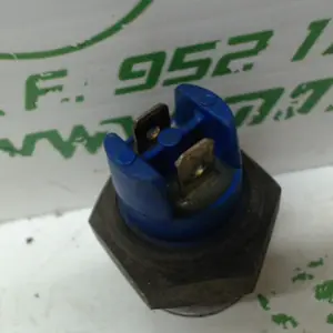 Foto de Sensor de temperatura Yamaha Majesty 125 referencia 54-17-5541