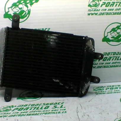 Foto de Radiador Suzuki BURGMAN 400 referencia 307-19-33317