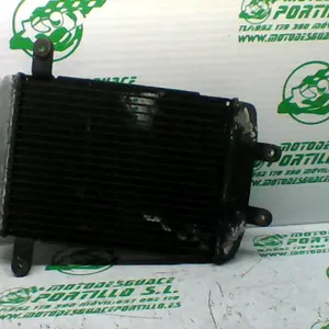 Foto de Radiador Suzuki BURGMAN 400 referencia 307-19-33317 foto 1