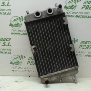 Foto de Radiador Yamaha Majesty 125 referencia 403-22-48549 foto 4