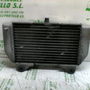 Foto de Radiador Honda Forza 250 referencia 234-18-16124 foto 2