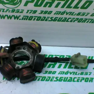 Foto de Encendido Peugeot Vivacity 50 referencia 98-16-38924 foto 22