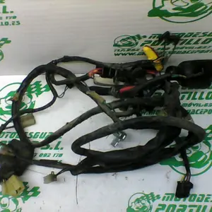Foto de Instalación electrica Honda SKY 50 referencia 90-18-29840 foto 2