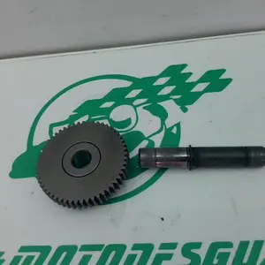 Foto de Piñón del motor de arranque Yamaha XMAX 250 referencia 213-19-37386 foto 2