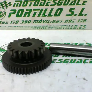 Foto de Piñón del motor de arranque Suzuki GS-500-F referencia 208-24-48369 foto 7