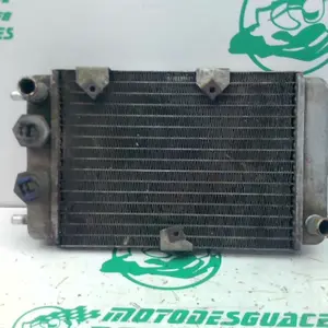Foto de Radiador Yamaha Majesty 125 referencia 403-22-48549 foto 3