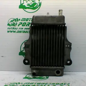 Foto de Radiador Honda Dylan 125 referencia 21-18-11534
