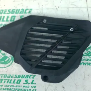Foto de Protector de radiador Honda Pcx 125 referencia 181-23-46269 foto 3