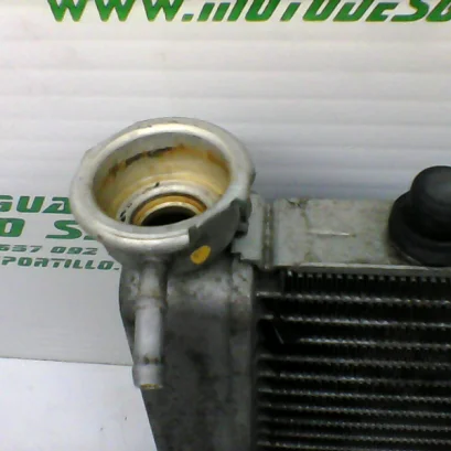 Foto de Radiador Honda S-wing 125 referencia 241-19-22686