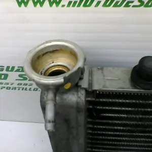 Foto de Radiador Honda S-wing 125 referencia 241-19-22686