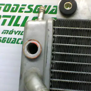Foto de Radiador Piaggio X9 125 referencia 244-19-24208 foto 6