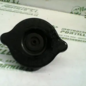 Foto de Tapon del radiador Suzuki Burgman 150 Carburacion referencia 100-17-8909