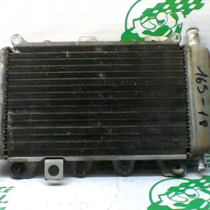 Foto de Radiador Piaggio X9 125 referencia 244-19-24208 foto 5