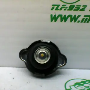 Foto de Tapón bote expansor Sym JOYMAX 300I referencia 305-21-31784