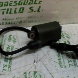Foto de Bobina Honda Forza 250 referencia 234-18-16131 foto 2