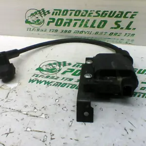 Foto de Bobina Peugeot ELYSTAR 125 referencia 78-20-48296 foto 10