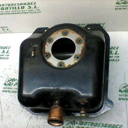 Foto de Deposito gasolina Sym CITYCOM 300 I referencia 246-19-22951