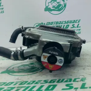 Foto de Radiador Honda FORZA 125 referencia 396-25-49013 foto 4