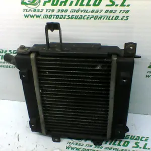 Foto de Radiador Kymco Bet&win 125 referencia 321-19-38833 foto 7