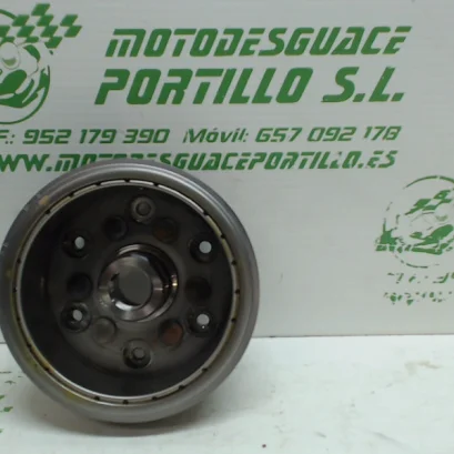 Foto de Plato magnetico Honda CBF 250 referencia 214-19-23311