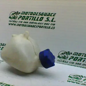 Foto de Bote expansor Peugeot Satelis 125 referencia 240-19-36133 foto 7