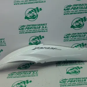 Foto de Carcasa lateral trasera izquierda Yamaha Xenter 125 referencia 446-22-40559 foto 6