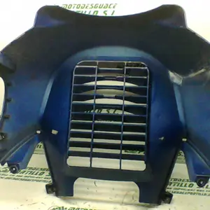 Foto de Protector de radiador Sym CITYCOM 300 I referencia 246-19-22945 foto 4