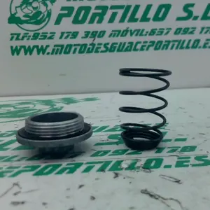 Foto de Tapon vaciado de aceite Sym EURO MX 150 referencia 337-22-45454 foto 1