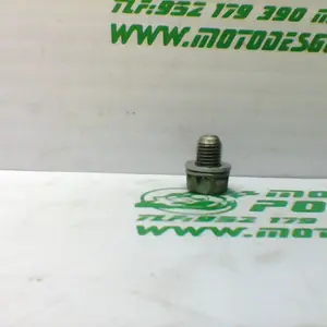 Foto de Tapon vaciado de aceite Honda VISION 110 referencia 110-20-26873 foto 5