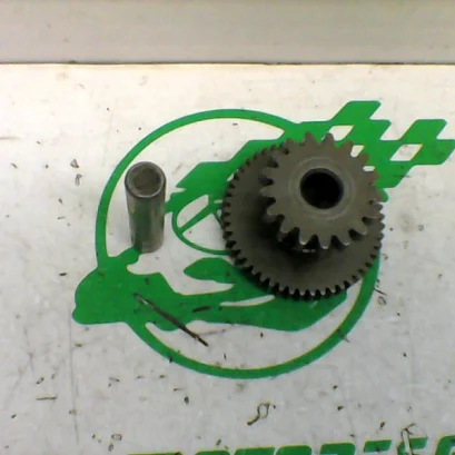Foto de Piñón del motor de arranque WOTTAN STORM 125 referencia 354-22-39947