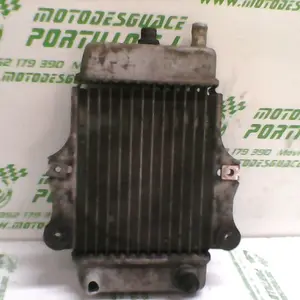 Foto de Radiador Honda Dylan 125 referencia 21-18-11534 foto 7
