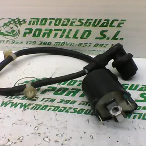 Foto de Bobina Honda VISION 110 referencia 202-21-29762 foto 1