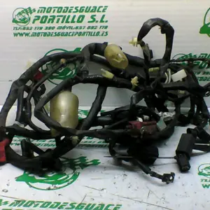Foto de Instalación electrica Honda VISION 110 referencia 202-21-29776 foto 4