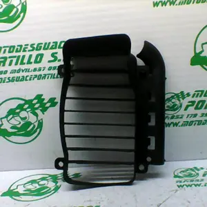 Foto de Protector de radiador Vespa GT 200 L referencia 138-22-34447 foto 4