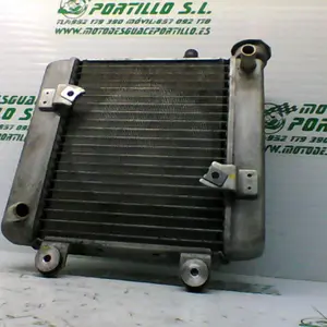 Foto de Radiador Honda S-wing 125 referencia 241-19-22686 foto 4