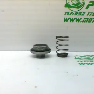 Foto de Tapon vaciado de aceite Kymco Grand dink 125 referencia 166-20-33147 foto 2