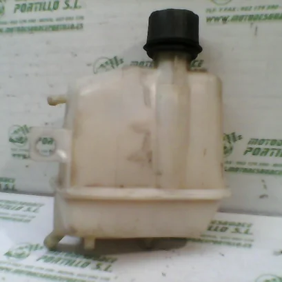 Foto de Bote expansor Piaggio X9 250 Motor Honda referencia 121-16-10285