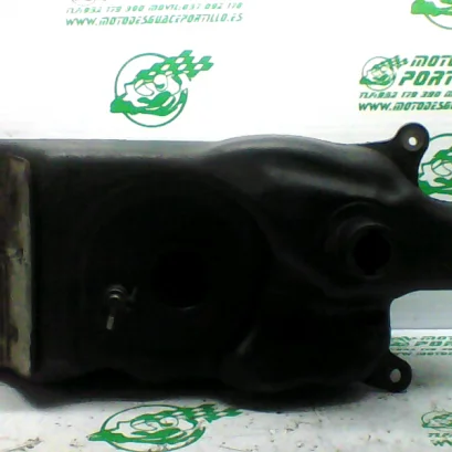 Foto de Deposito gasolina Yamaha XMAX 250 referencia 431-21-32520