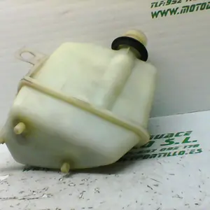 Foto de Bote expansor Piaggio X9 125 referencia 244-19-24238 foto 4