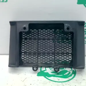 Foto de Protector de radiador Daelim Daystar 125 referencia 43-24-48227 foto 4