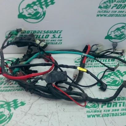 Foto de Instalación electrica Kymco MILER 125I referencia 151-24-48122