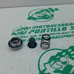 Foto de Tapon vaciado de aceite Kymco Grand dink 125 referencia 166-20-33147 foto 5