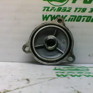 Foto de Tapa filtro aceite Suzuki Burgman 125 referencia 369-19-31620 foto 5